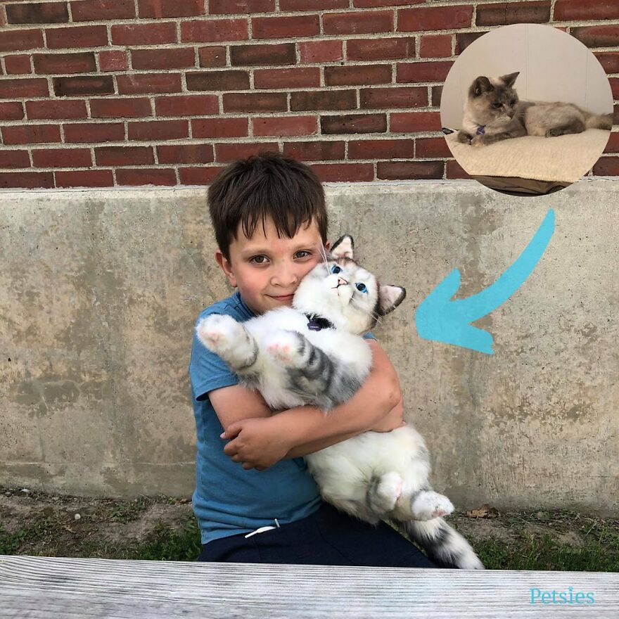 You Can Now Have A Plush Copy Of Your Pet