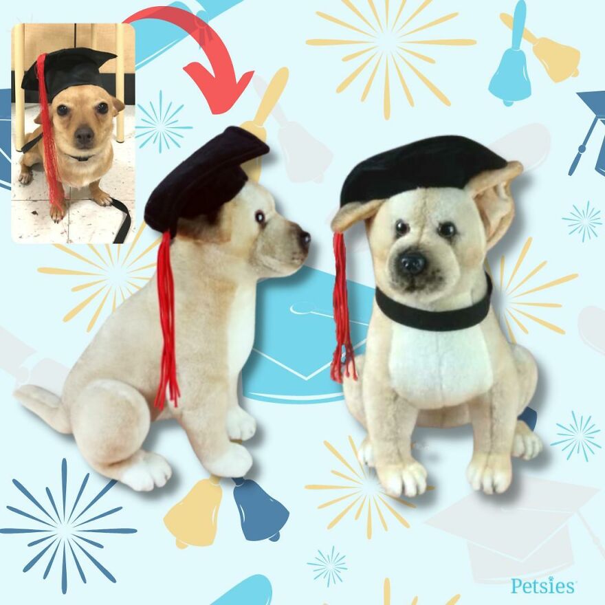 You Can Now Have A Plush Copy Of Your Pet