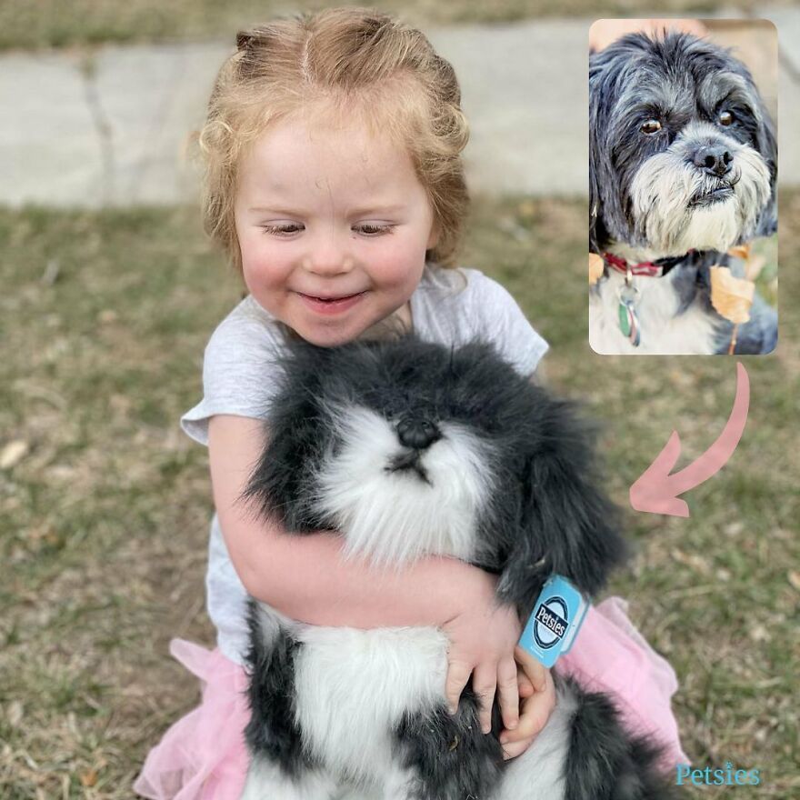 You Can Now Have A Plush Copy Of Your Pet