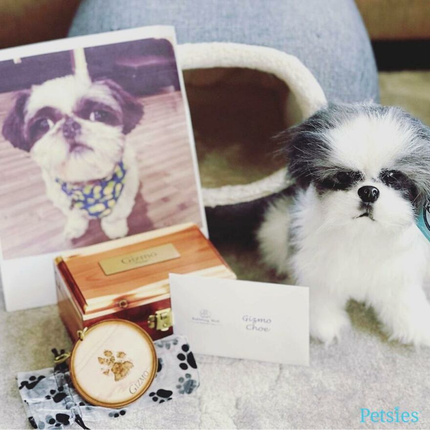 You Can Now Have A Plush Copy Of Your Pet