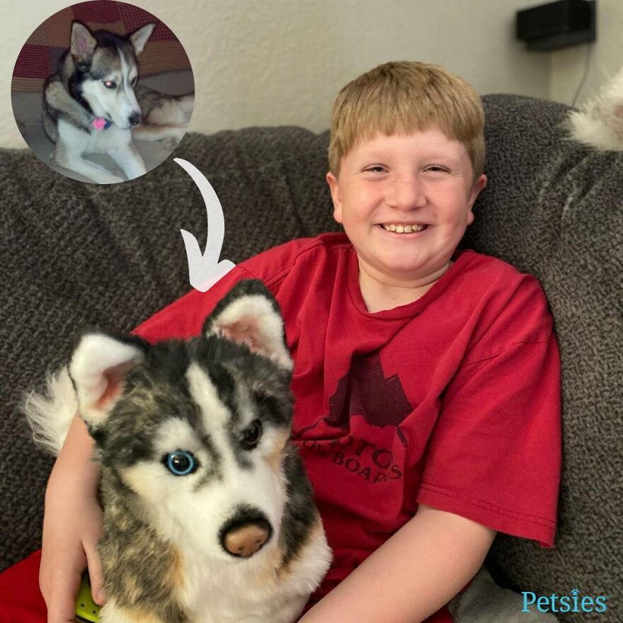 You Can Now Have A Plush Copy Of Your Pet