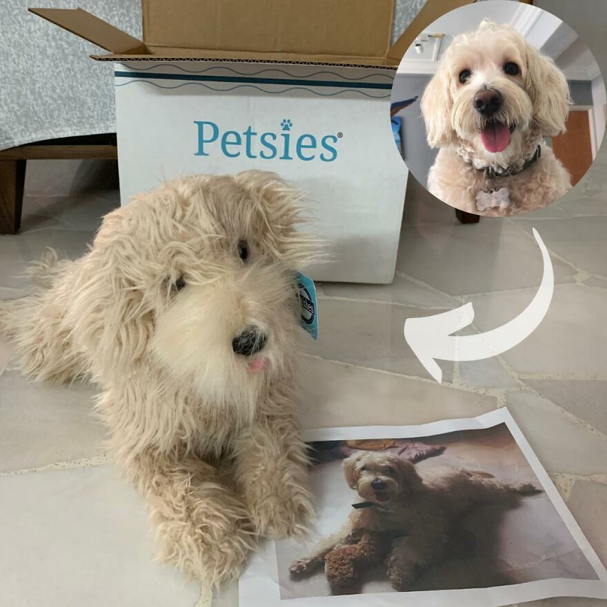 You Can Now Have A Plush Copy Of Your Pet