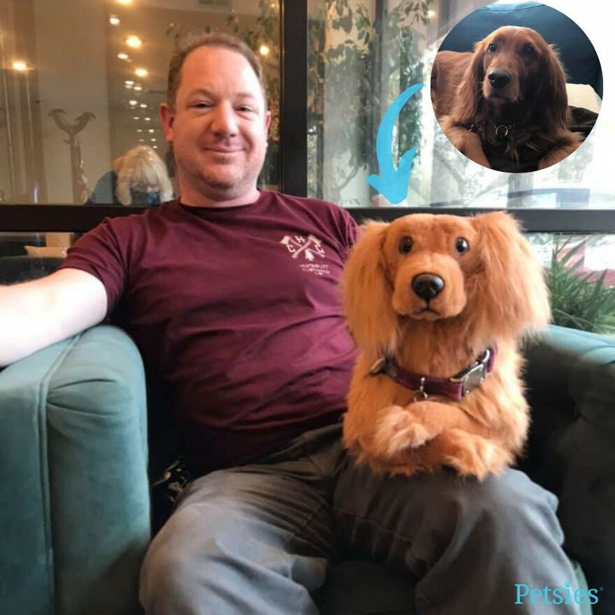 You Can Now Have A Plush Copy Of Your Pet