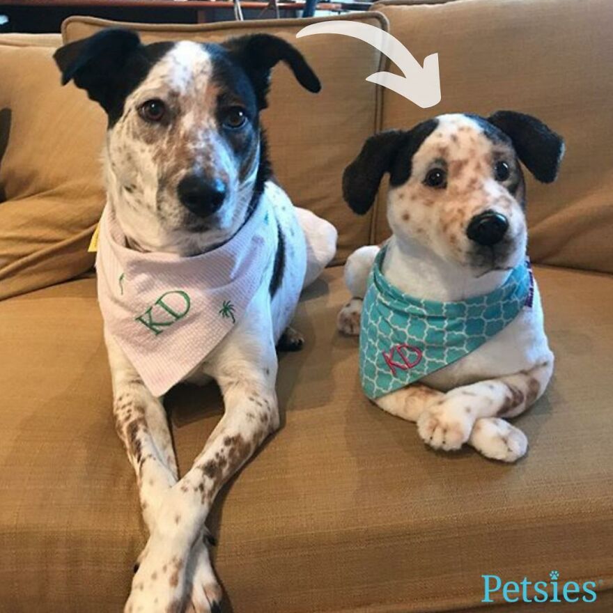 You Can Now Have A Plush Copy Of Your Pet