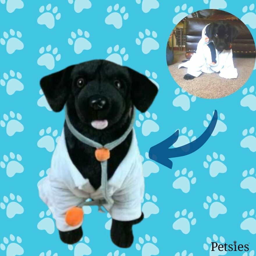 You Can Now Have A Plush Copy Of Your Pet