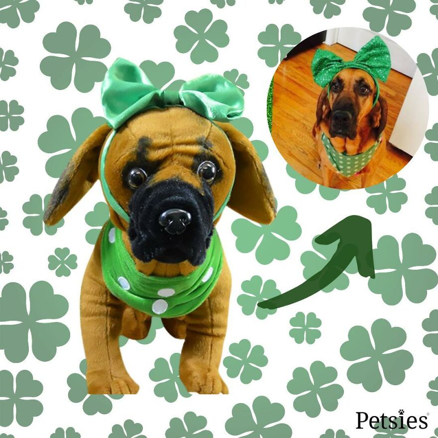 You Can Now Have A Plush Copy Of Your Pet