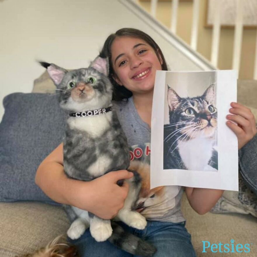 You Can Now Have A Plush Copy Of Your Pet