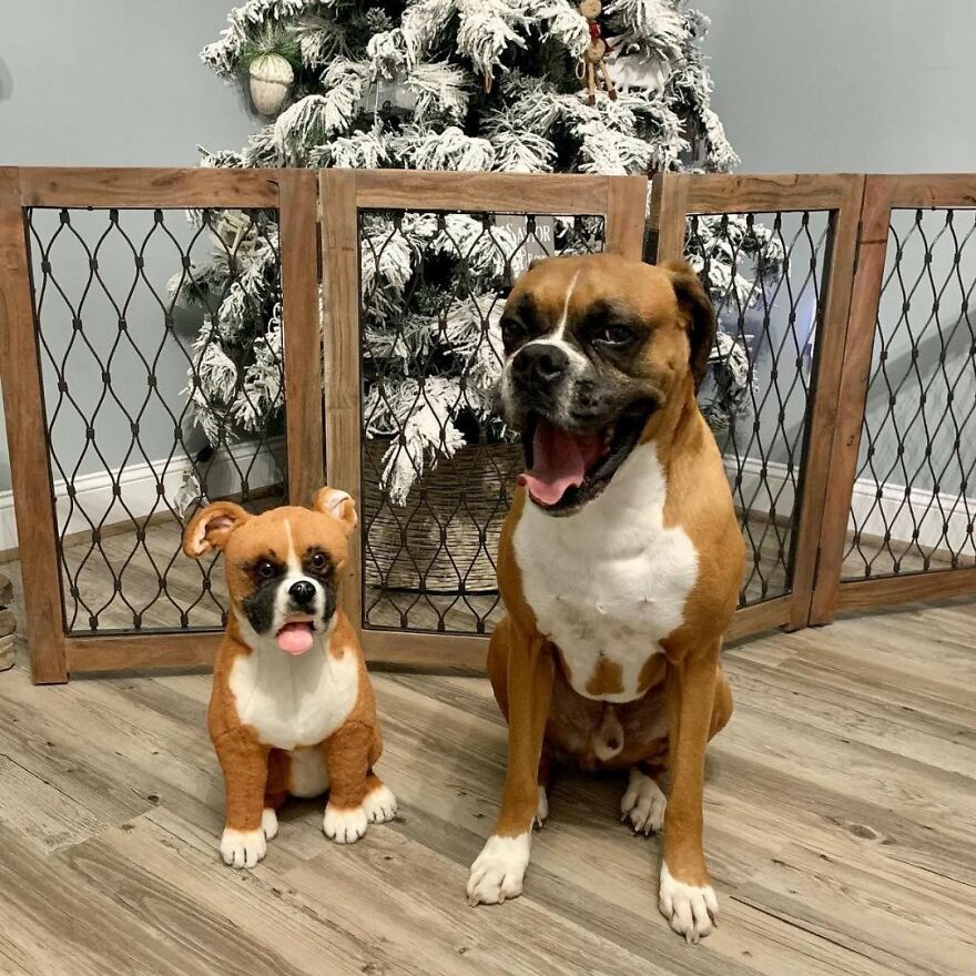 You Can Now Have A Plush Copy Of Your Pet