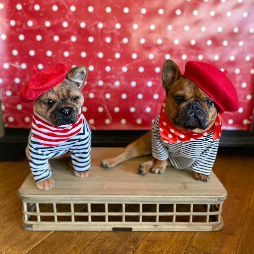 You Can Now Have A Plush Copy Of Your Pet