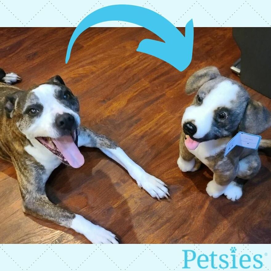 You Can Now Have A Plush Copy Of Your Pet