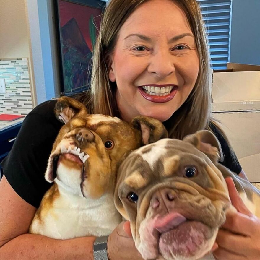 You Can Now Have A Plush Copy Of Your Pet