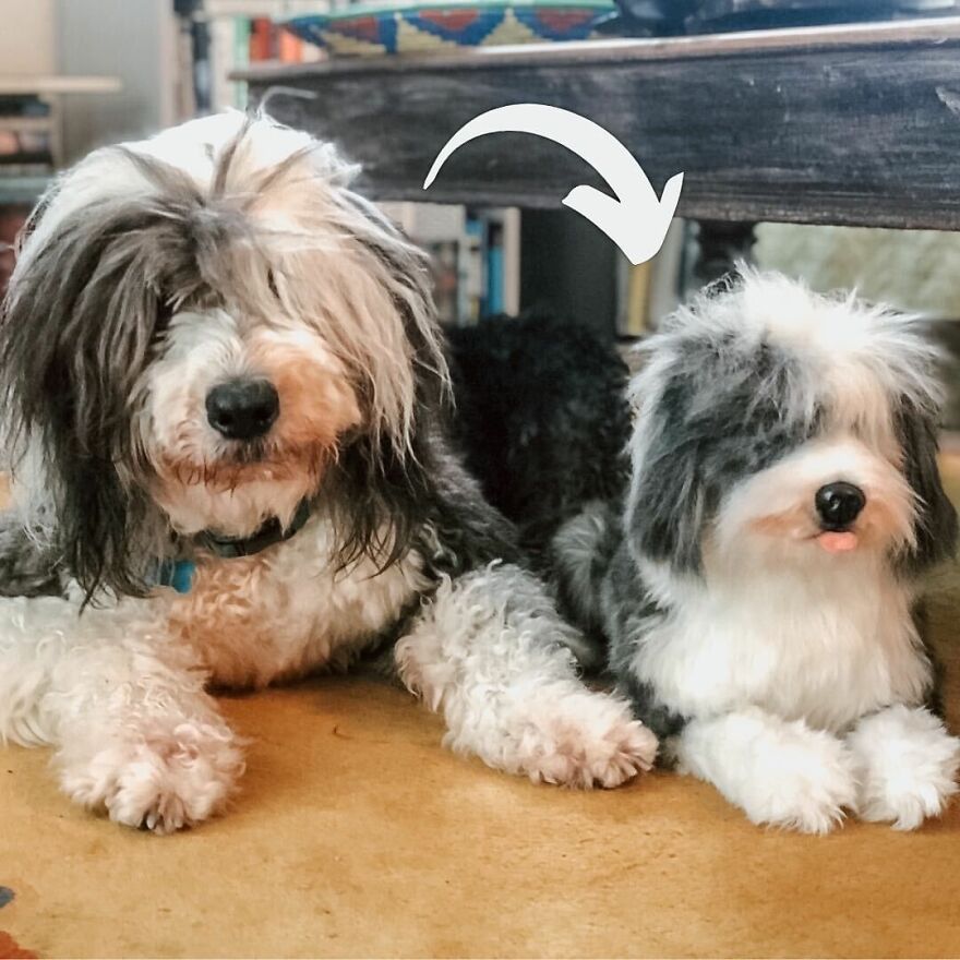 You Can Now Have A Plush Copy Of Your Pet