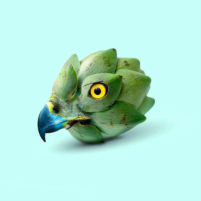 100 Photo Manipulations Of Animals Photoshopped Into The Most Random Things By Les Creatonautes