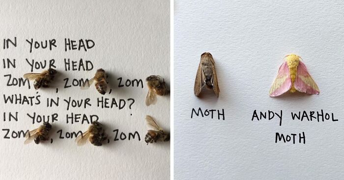Artist Uses Insects To Make Fun And Quirky Cartoons, Here Are Her Best 70 Works