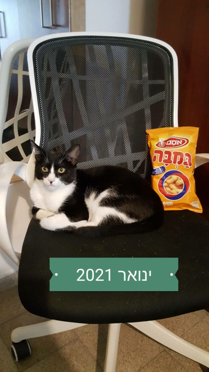 Bamba Is Named After The Most Popular Snack In Israel (Pictured) B/C When I Found Him At 6weeks I Put Him In A Cardboard Box Of The Snacks Until I Got Him Home