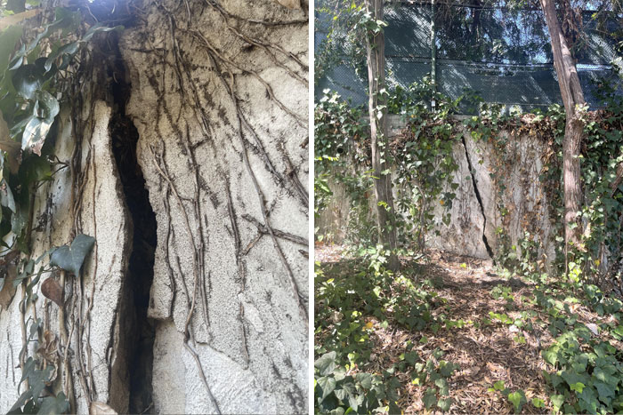 Bizarre-Structural-Inspections-Pics