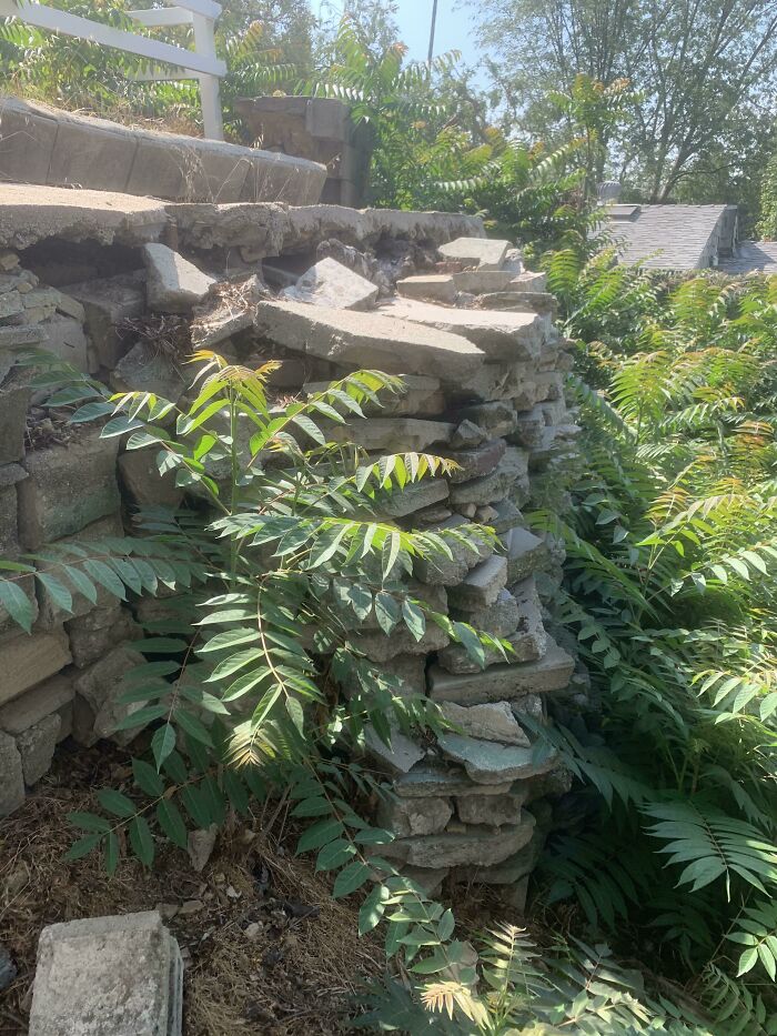 Bizarre-Structural-Inspections-Pics