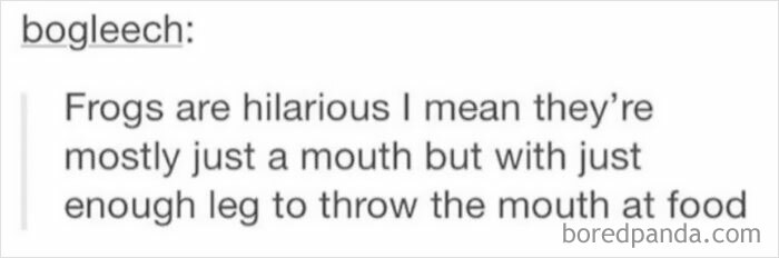 “Enough Leg To Throw Their Mouth At Food”