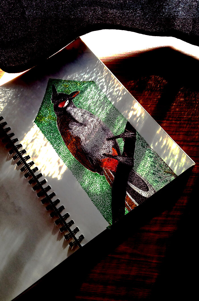 I Draw Animals Around Me In Points