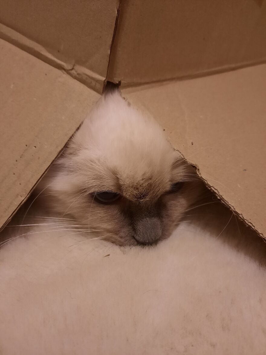 She Got Sad After I Told Her She Can't Bite Me