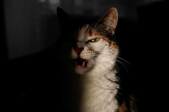 Welcome To The Dark Side