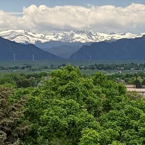 rebeccafaulkner avatar