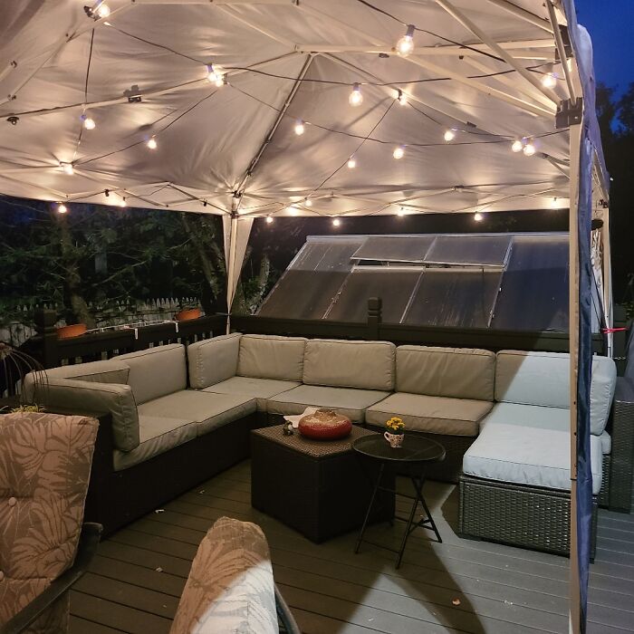 My Patio And Greenhouse