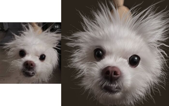 I Painted My Spirit Animal