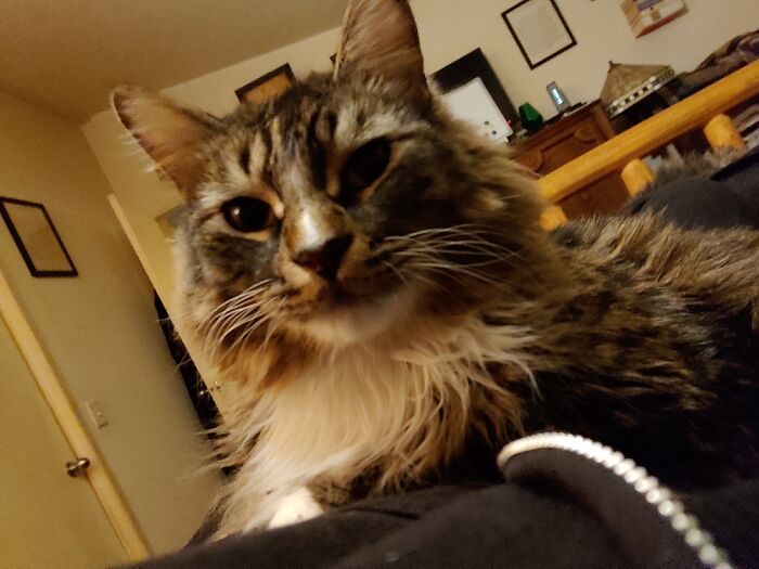 My Boy Mayhem (A Very Fitting Name)