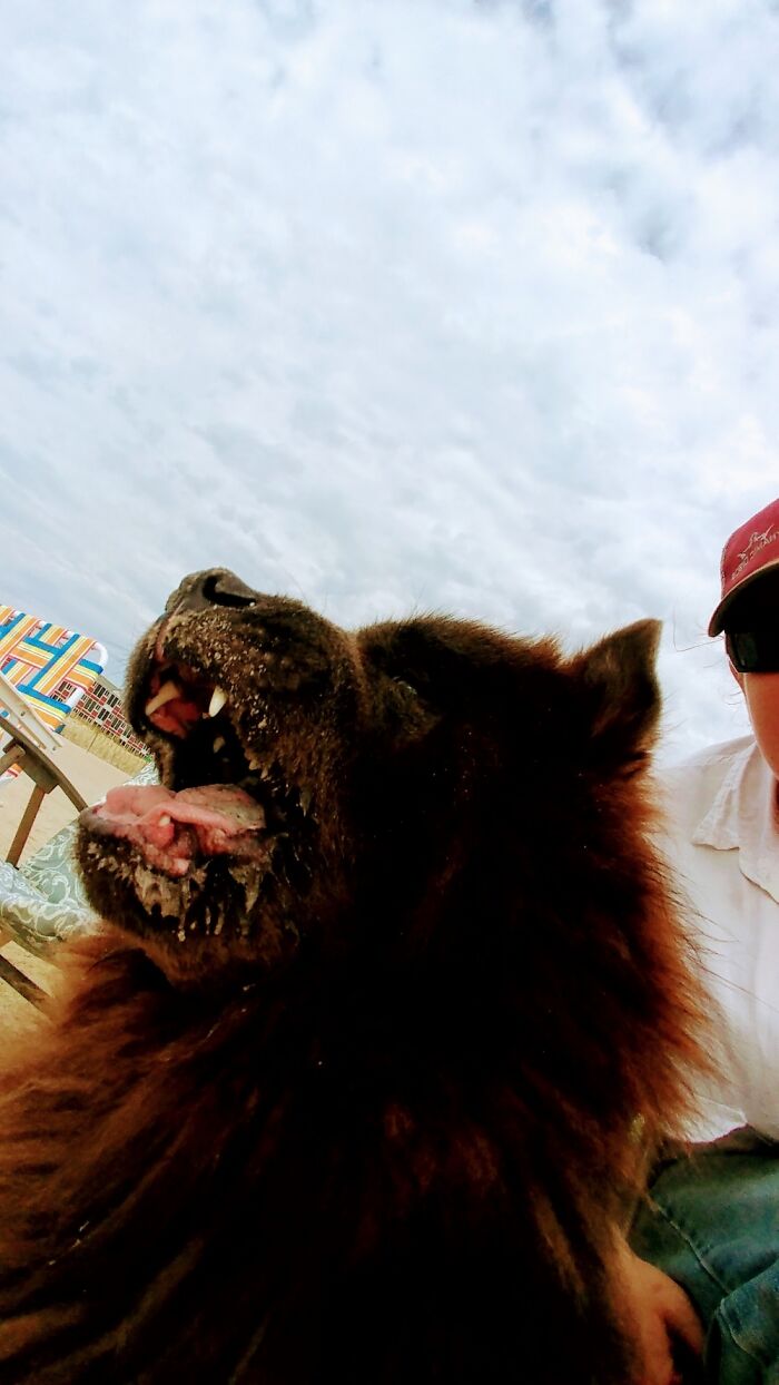 Cleveland's 1st Trip To The Beach!