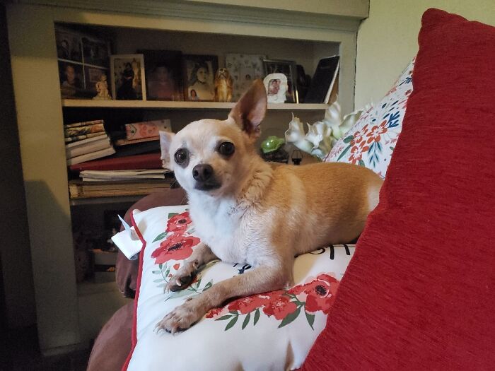 Philip J. Fry From Futurama