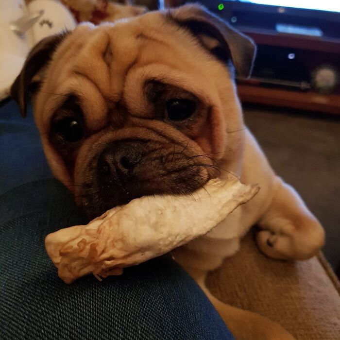 Freddie After The Lead Singer Of Freddie And The Dreamers