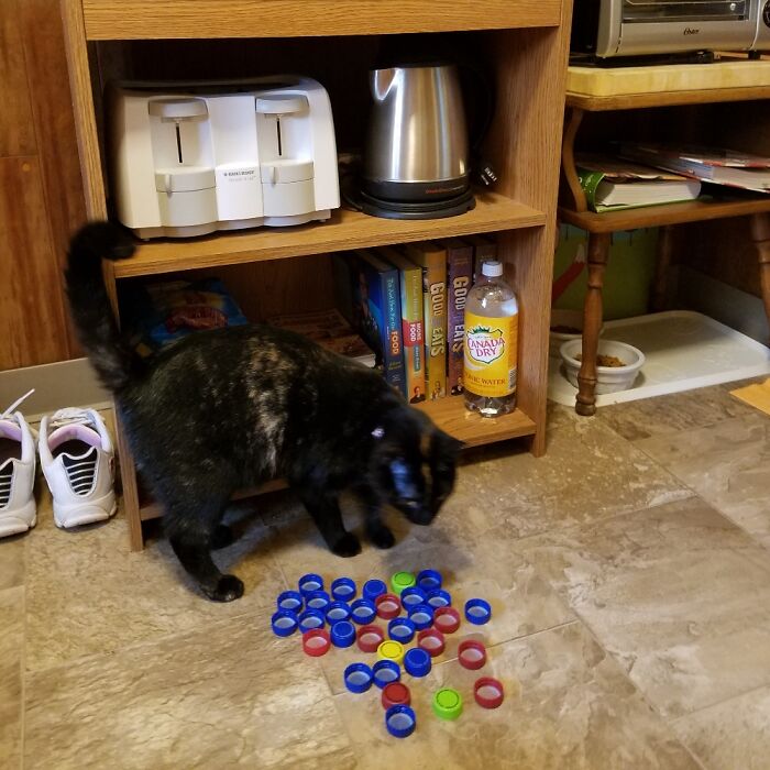 Plastic Pop Caps. She Has Loads Of Toys, Yet She Prefers Plastic Pop Caps...