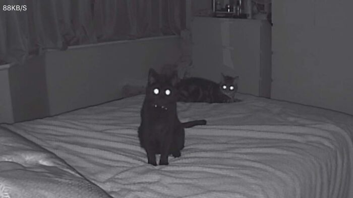 It's Like They Know!