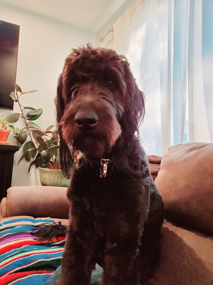 Enzo After Enzo Ferrari.