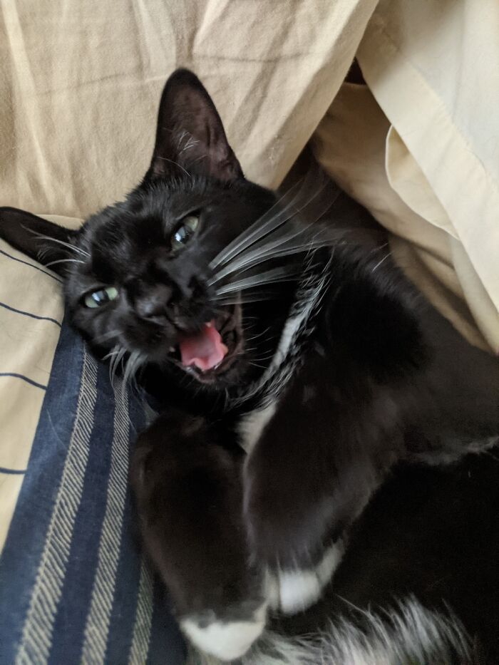 Lucy Named After Lucille Ball Because She Is Loud, Smart, And Goofy