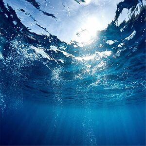 ificouldiwouldliveunderwater avatar