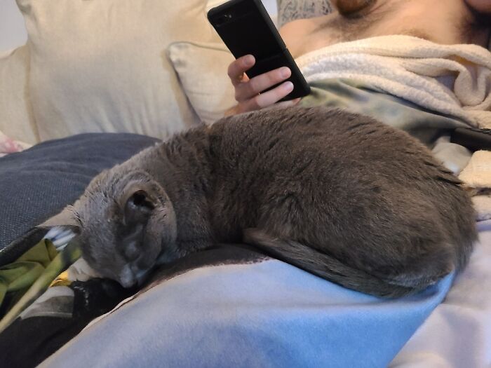 This Is Ghost. She Got Her Name Because She Would Appear Out Of Shadows And Scare Us.