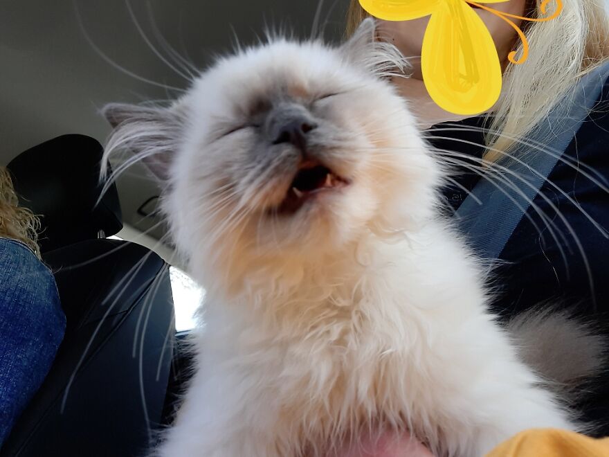 We Were Listening To Music And She Got A Little Too Into It