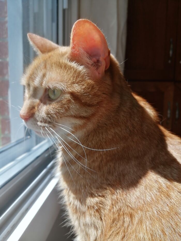 Meet Princess Leia, No Need To Explain Why My Daughter Named Her After Her Favorite Princess!