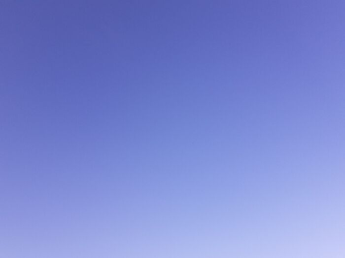 Totally Blue! Harlow Essex 2021