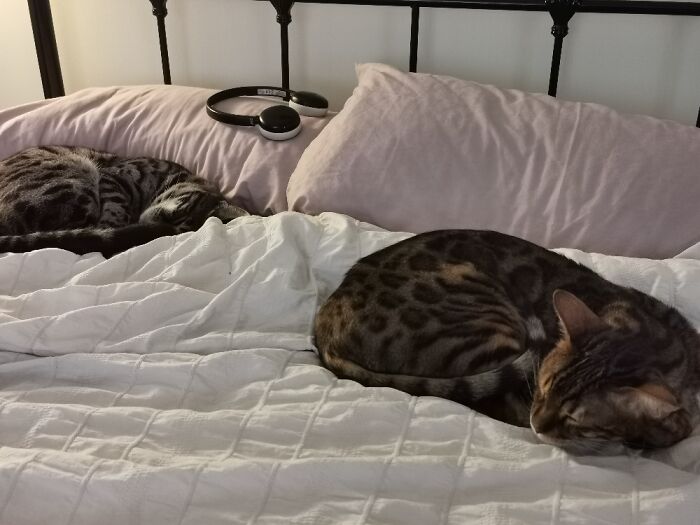 Bodie (R) & Doyle (L) Named After The Professionals, The UK Equivalent Of Starskey & Hutch