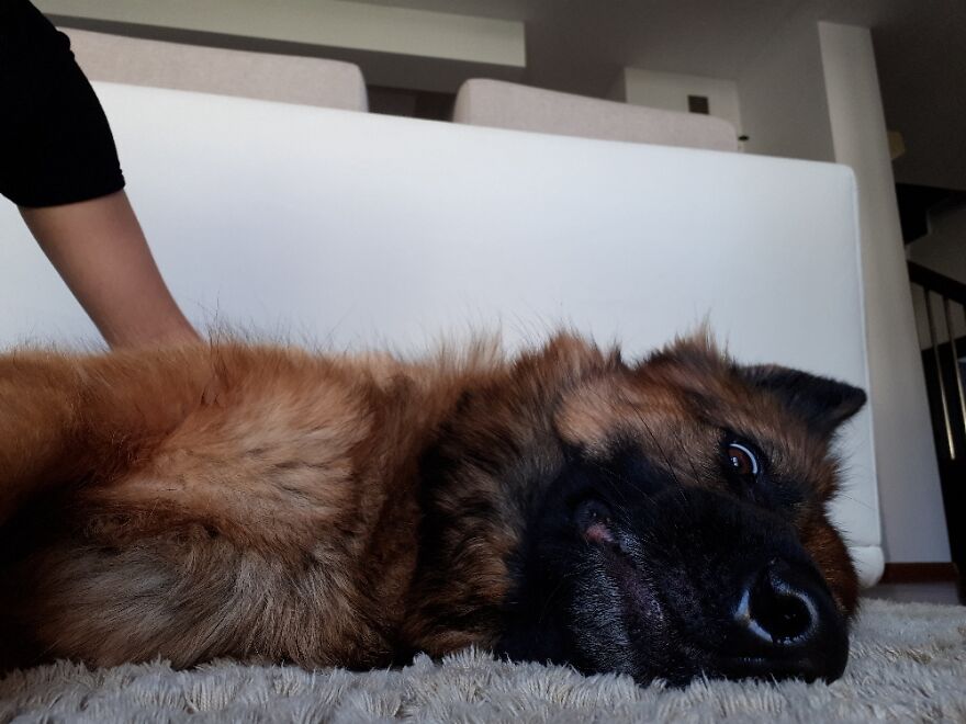 I Don't Know What She Was So Scared Of