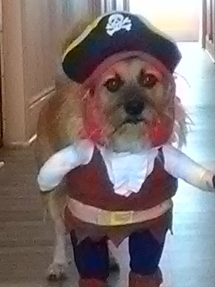 "Capt'n Jaxx Sparr-Oo-Oo!"