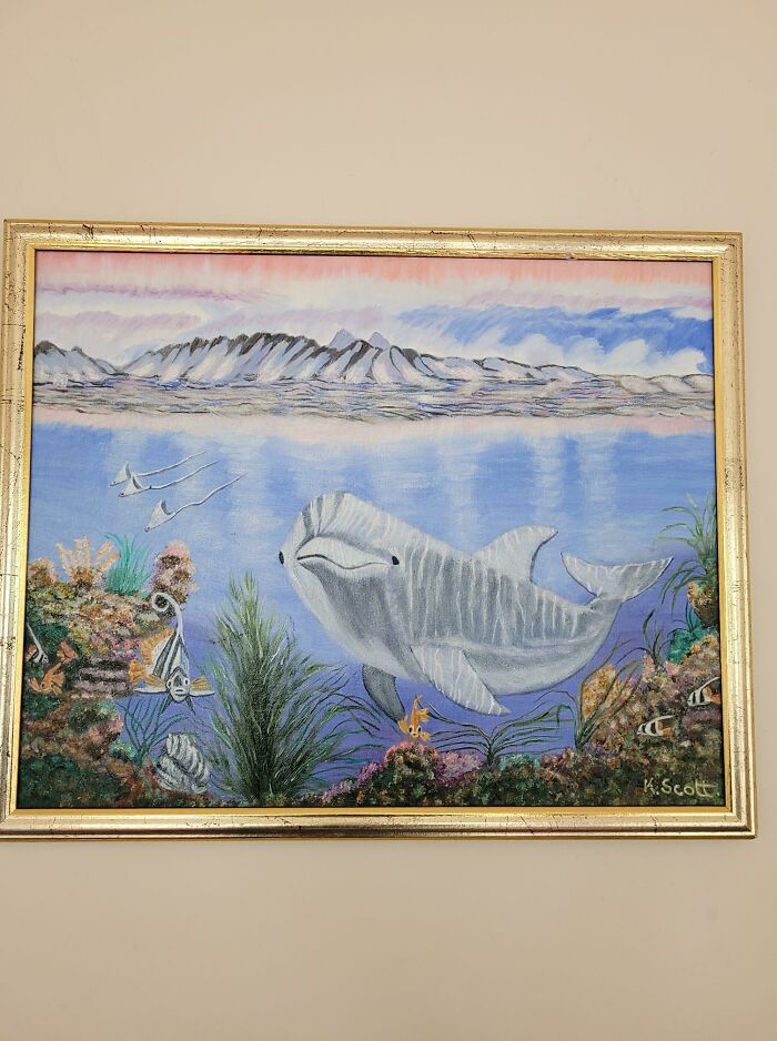 I Spotted This Beauty In Savers At Modbury And I Couldn't Stop Thinking About It. My Partner Secretly Purchased It, And Gave It To Me As A Present A Few Weeks Later. It Now Sits Proudly In Our Lounge Room. Think It Was $6