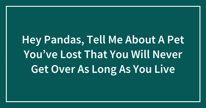 Hey Pandas, Tell Me About A Pet You’ve Lost That You Will Never Get Over As Long As You Live (Closed)