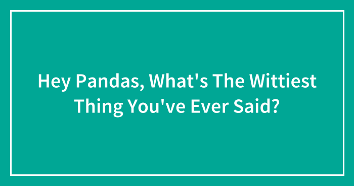 Hey Pandas, What’s The Wittiest Thing You’ve Ever Said? (Closed)