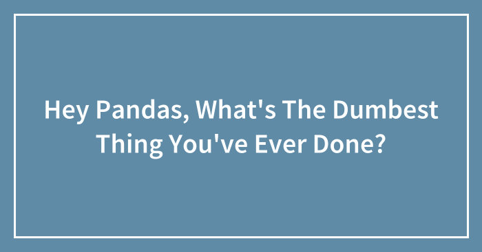 Hey Pandas, What’s The Dumbest Thing You’ve Ever Done? (Closed)