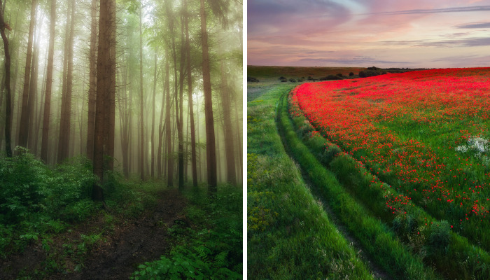 This Is How Spring Looks Like In Romania In My 21 Photos