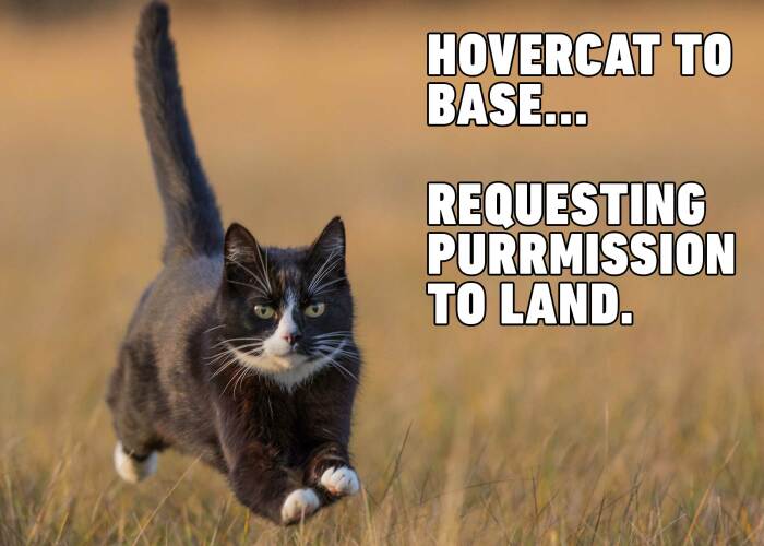 Hey Pandas, Post Your Favorite Animal Meme (Closed)